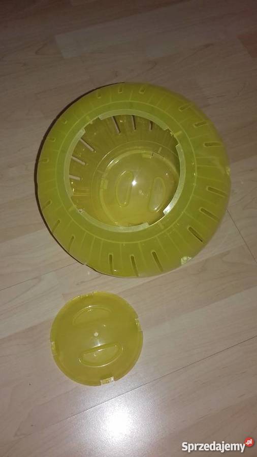 Kula Szynszyla podkarpackie Nowa Dęba