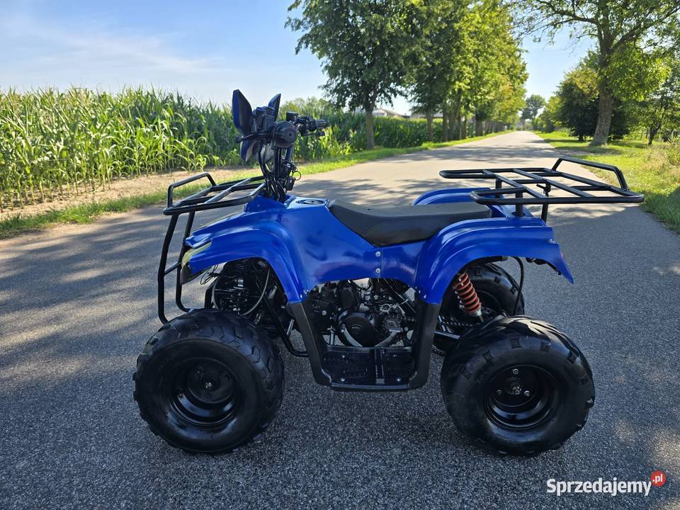 Quad Model Bmw 125cc Automat 11r Stan garażowany Kruszwica