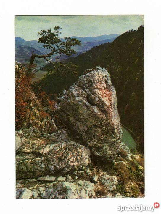 PIENINY SZCZYT SOKOLICY POCZTÓWKA Krynki sprzedam