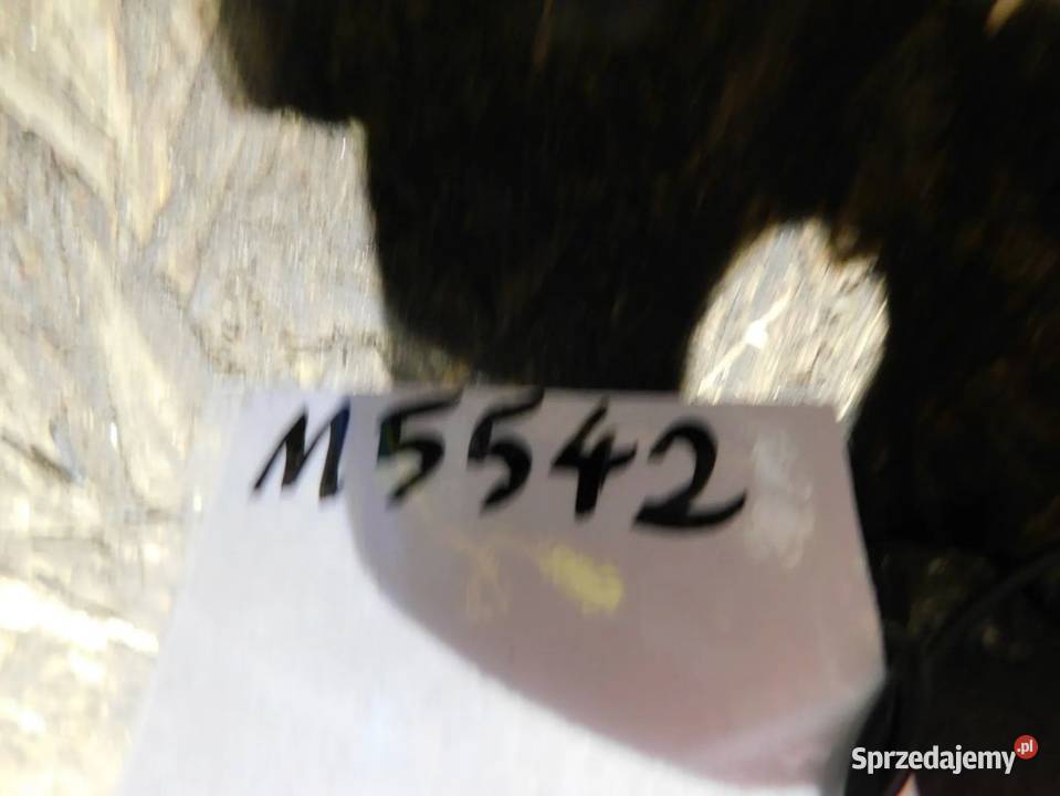 insignia zacisk hamulcowy M5542 WYSYŁKA osobowe Żory sprzedam