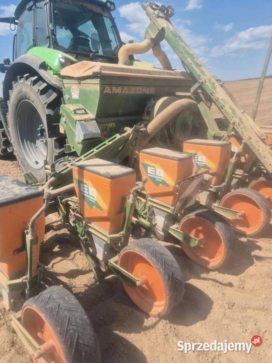 Siewnik Amazone ED 6001 do kukurydzy Brodnica