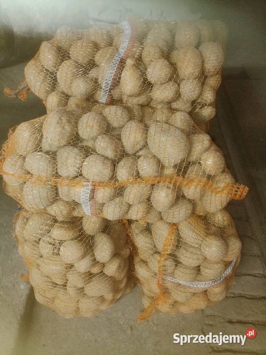 Sprzedam ziemniaki Brzeg