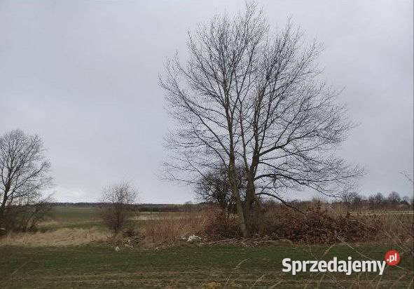 Działka z możliwością zabudowy Goła sprzedam