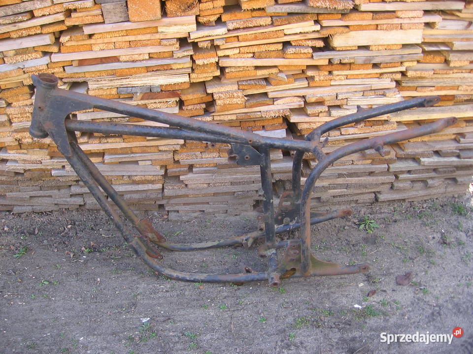 PANONIA 250 Bydgoszcz