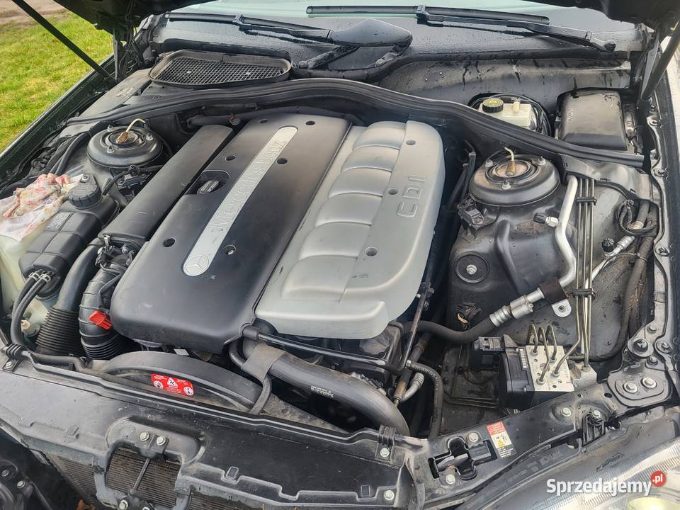 Meecedes s w220 32 cdi igiełka z małym Rogoźno