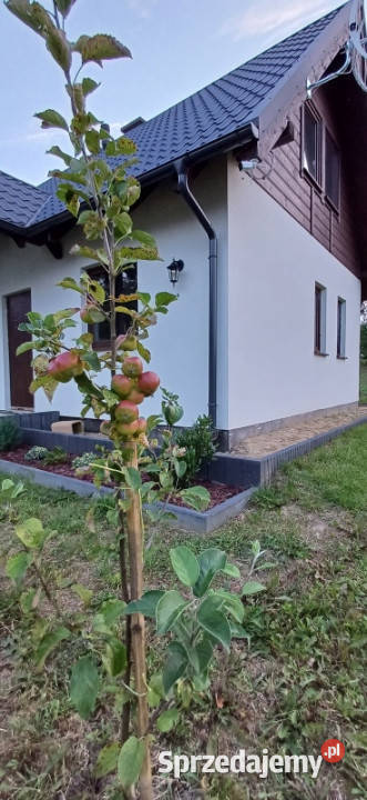 Nowy dom jeziorem lesie garaż Demlin
