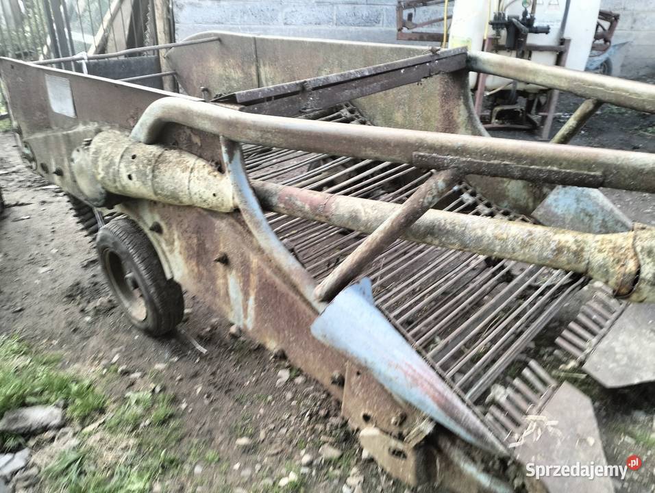 Sprzedam kopaczkę elewatorowa Czechy