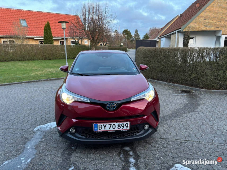 Toyota CHR bordowy