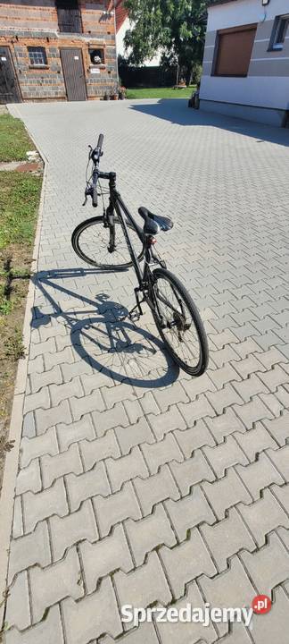 Sprzedam rower Kands Maestro Gostyń