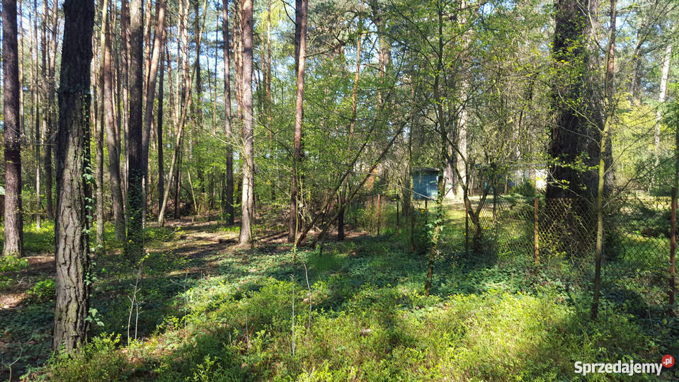 Działka na sprzedaż Wyszków RYBIENKO LEŚNE