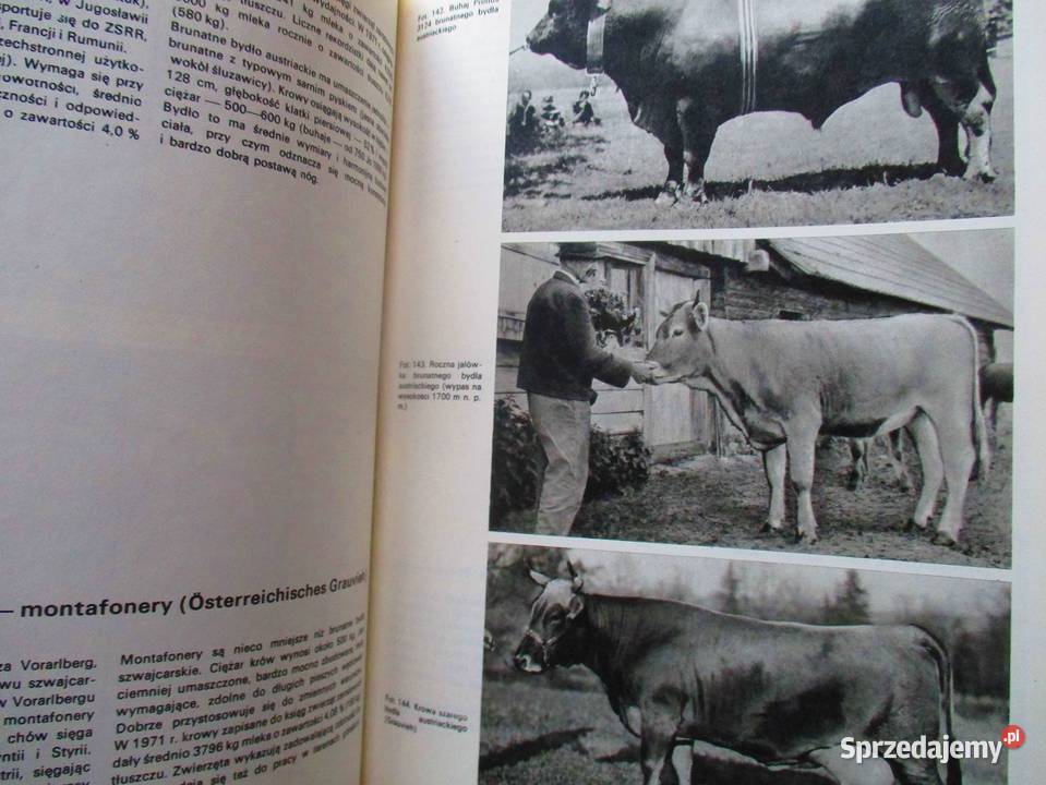 Atlas ras zwierząt gospodarskich bydło konie rolnictwo, nauki rolnicze Łódź