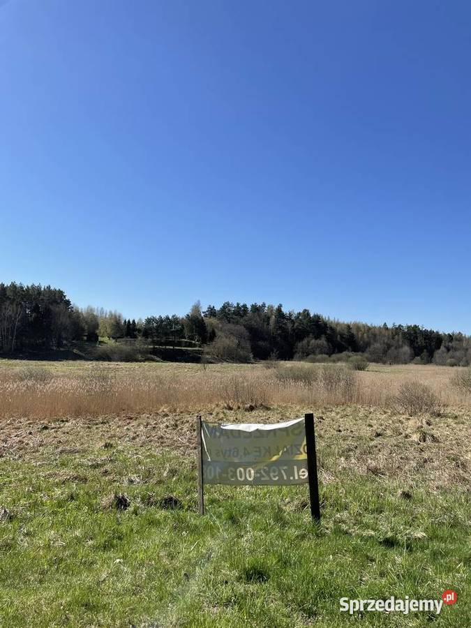 Działka rekreacyjna Bożepole Królewskie 4600 m2 sprzedam
