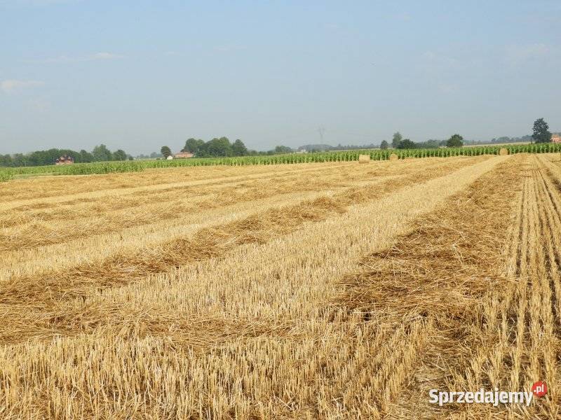 Słoma 2025 kostki Rolnictwo Mierzęcice