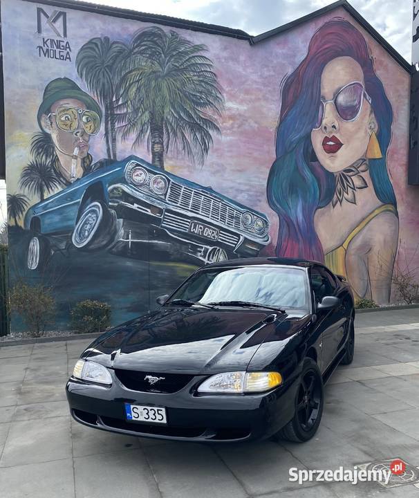 Ford Mustang SN95 manual Mustang