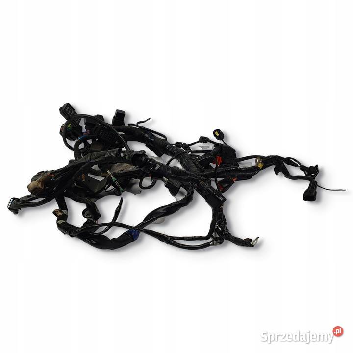 WIĄZKA ELEKTRYCZNA SILNIKA Triumph Speed Triple lubelskie