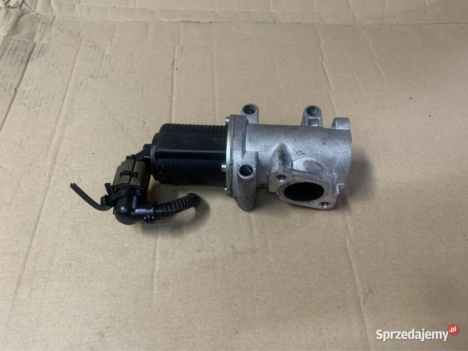 ENT500012 zawór egr 19 cdti Opel Vectra c signum Szczecin