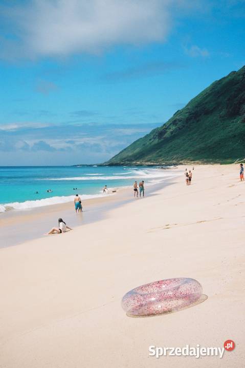 Brokatowe koło do pływania 107x27 INTEX 56274 Ogród Poznań