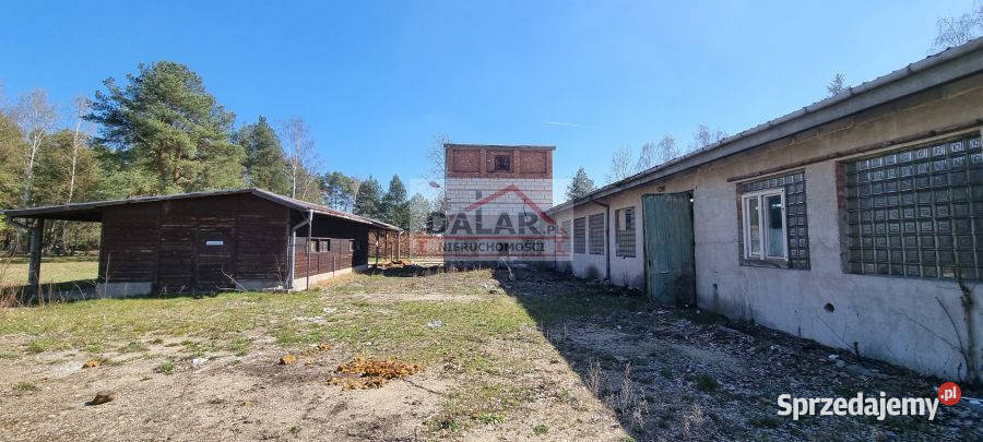 Dom Sierzchów Sierzchów 1200m2 6666zł/m2