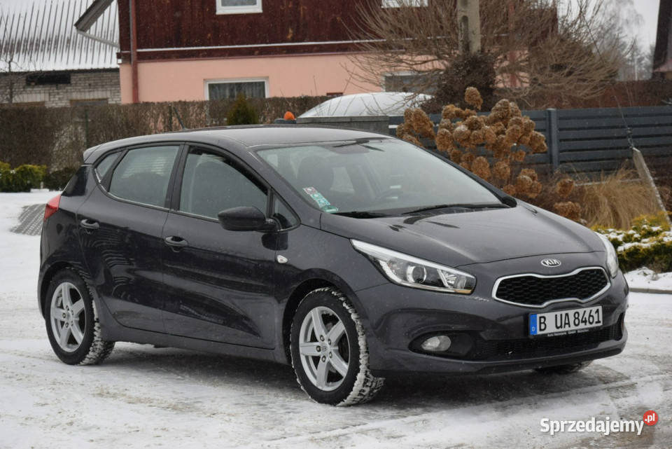 Kia Ceed 14B 2014r 107 Oryginał Lakier 2 KPL KÓŁ Majdan Sieniawski