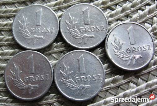 PRL 1 Grosz 1949r6 Kalisz