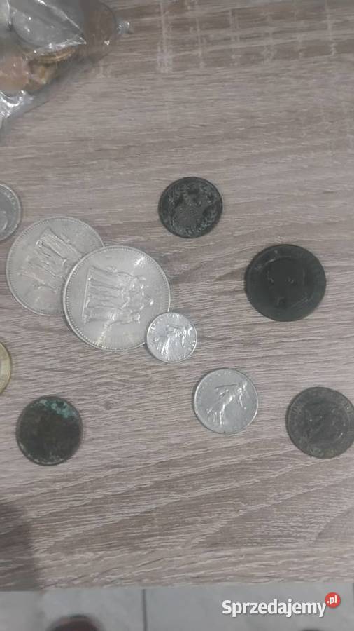 Franki kolekcja Kalisz Pomorski