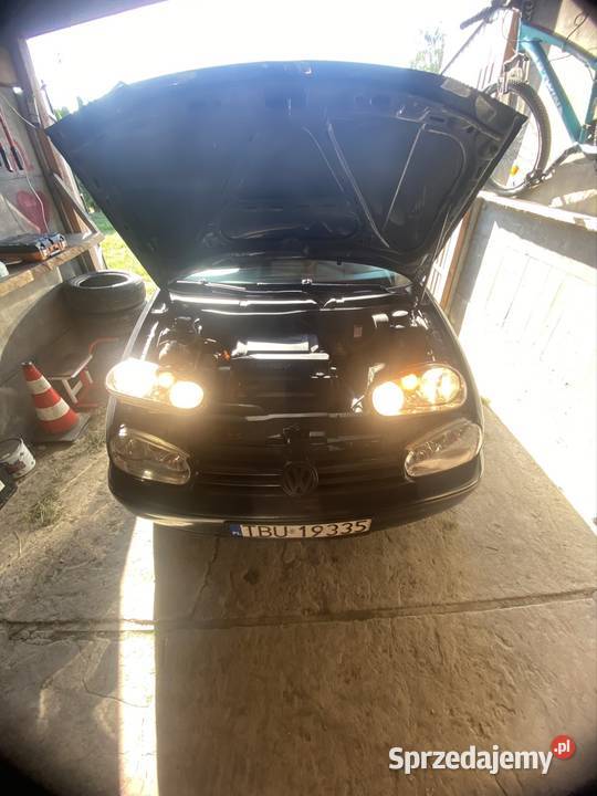 Lampy przednie golf 4 Rok produkcji 1999 Busko-Zdrój