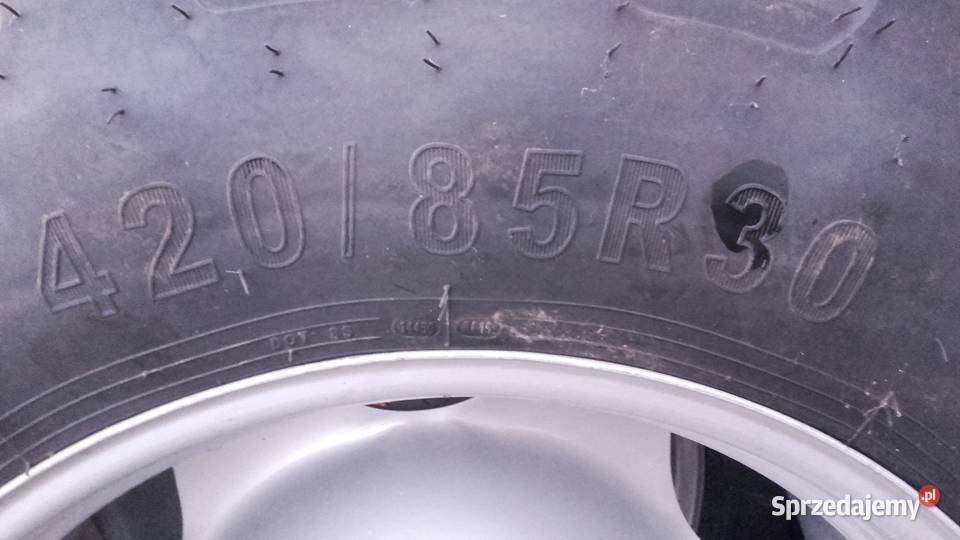 Koła 16930 PETLAS Dębówka