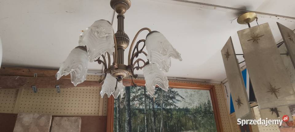 Lampy sufitowe zylandory lampki pokojowe nocne Augustów sprzedam