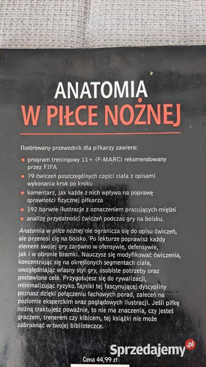 Anatomia w piłce nożnej Szczecin