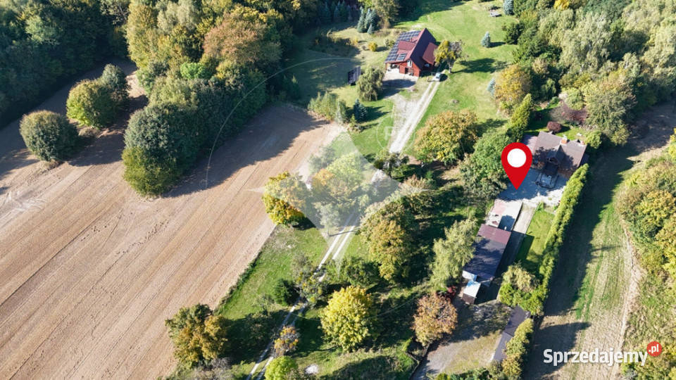 Przytulny dom z potencjałem i ogromną działką Drewniki