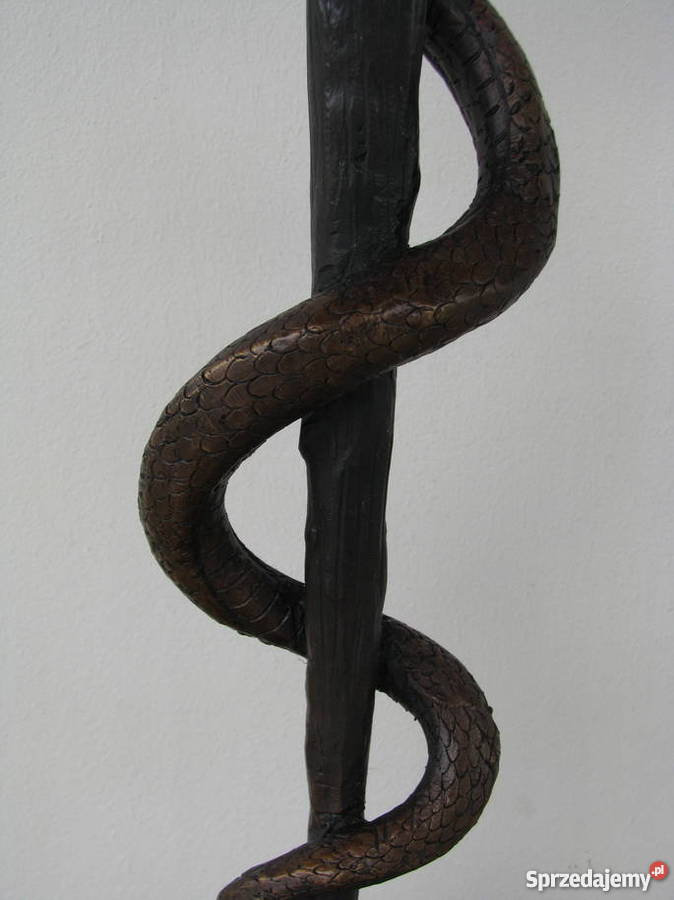 WĄŻ ESKULAPA symbol medycyny i farmacji Kraków sprzedam