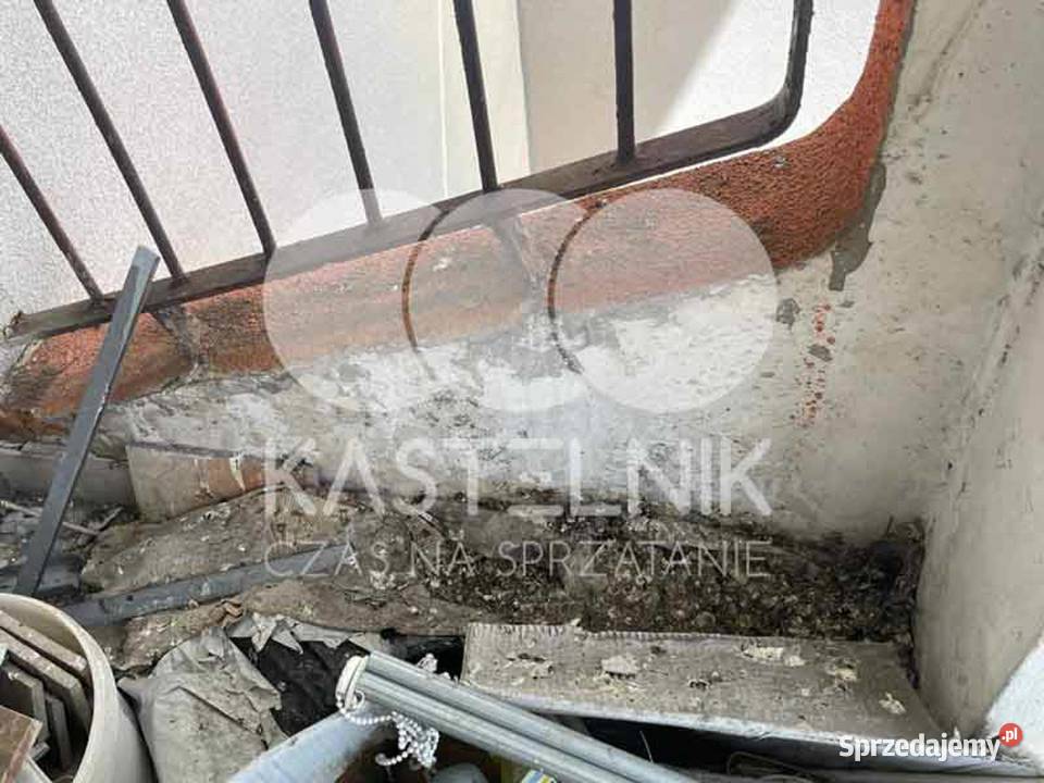 Sprzątanie gołębiach BielskoBiała Kastelnik Bielsko-Biała