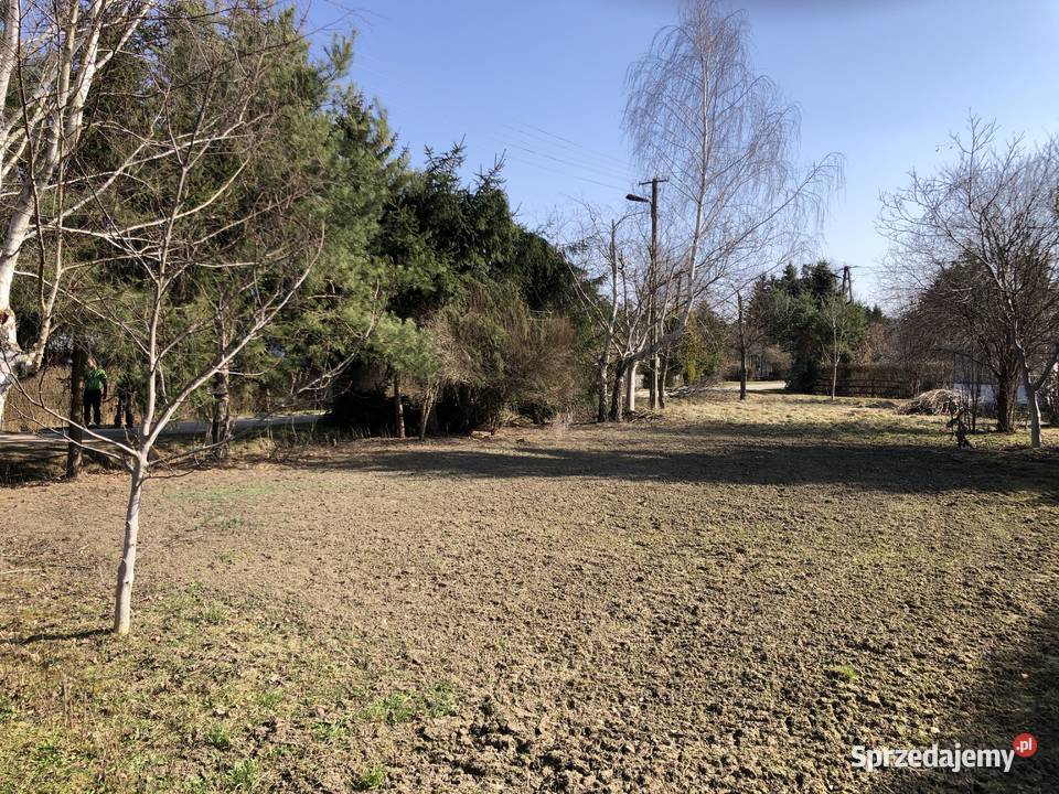 Działka ROD Zalesie Ogród Rzeszów