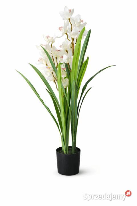 Sztuczny storczyk Cymbidium 105 biały ecru Golkowice