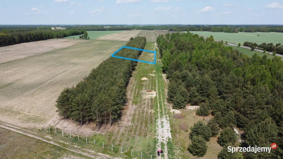 Działka z WZ w Wólce Gonciarskiej gm Kazanów budowlana Wólka Gonciarska sprzedam