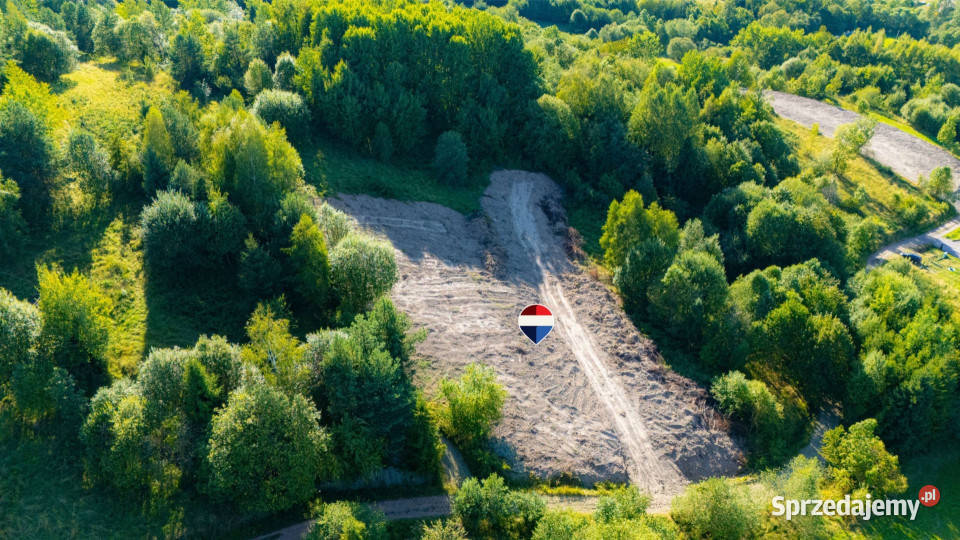 Działka rolna Sprzedaż Kasina Wielka Polska