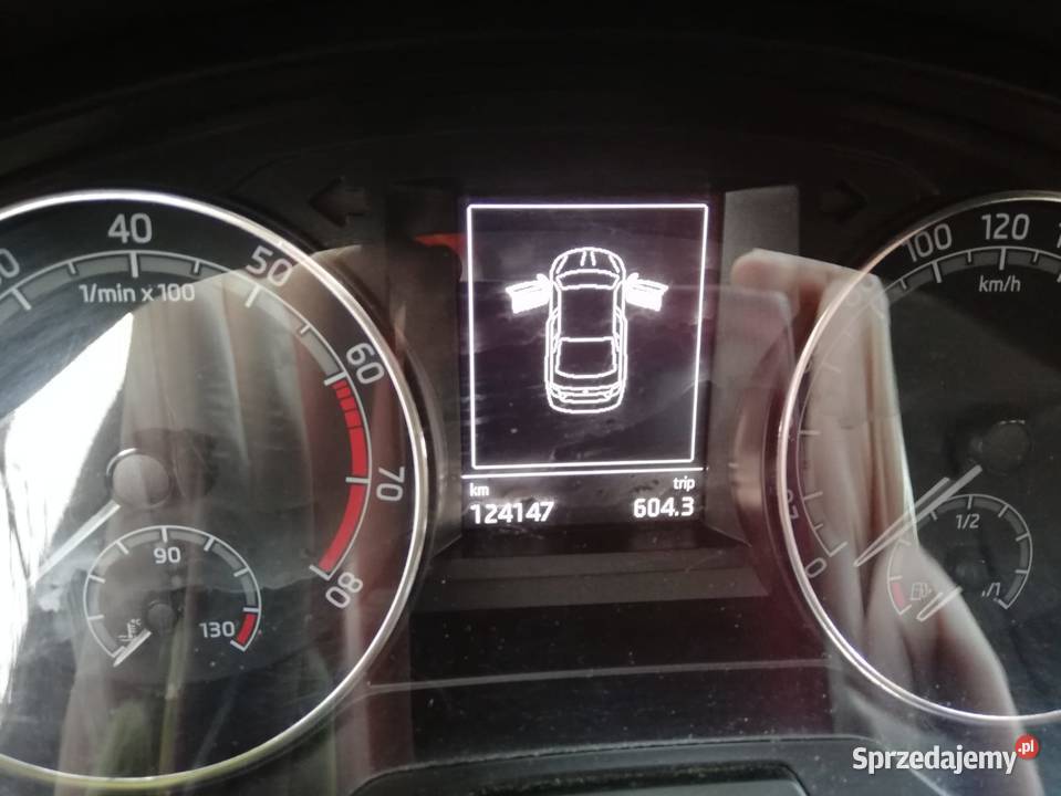 Skoda Rapid pierwszy właściciel Olszowice