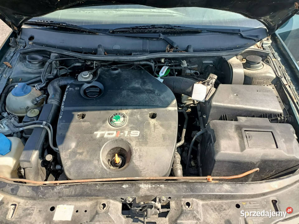 koda Octavia Skoda Octavia 19 TDI 110 01r I Tarnów sprzedam