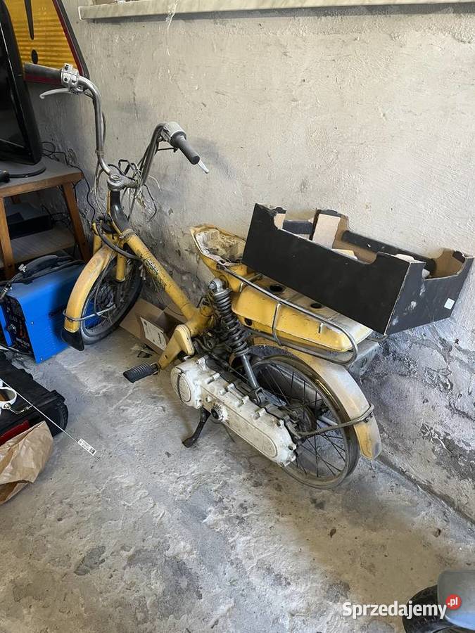 Honda Caren i Honda Express Katowice