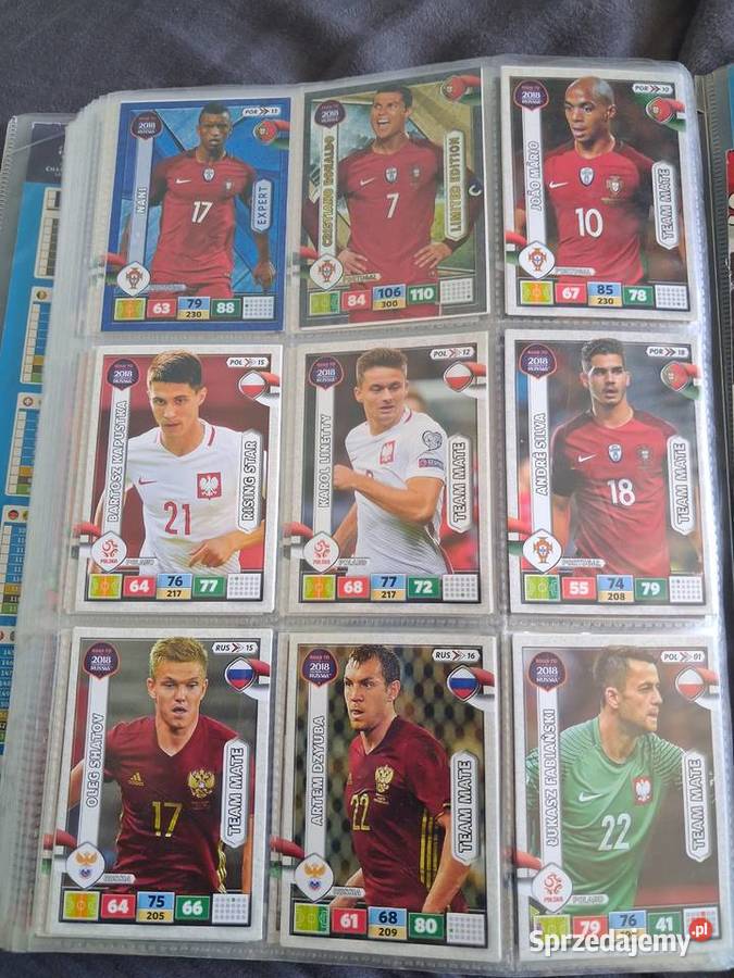 Wielka kolekcja kart Panini Adrenalyn XL Poznań