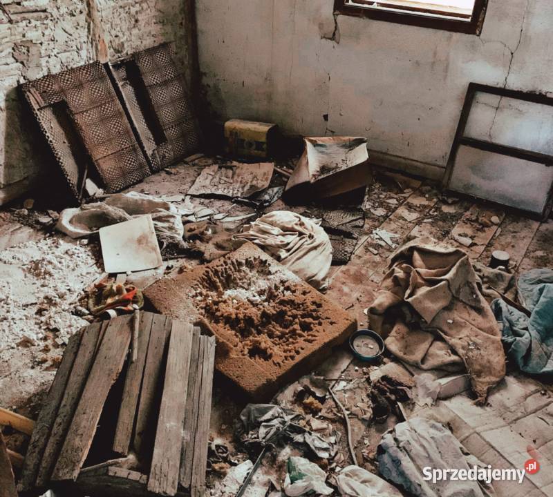 Dezynfekcja mieszkań i domów przed wynajmem Wieliczka
