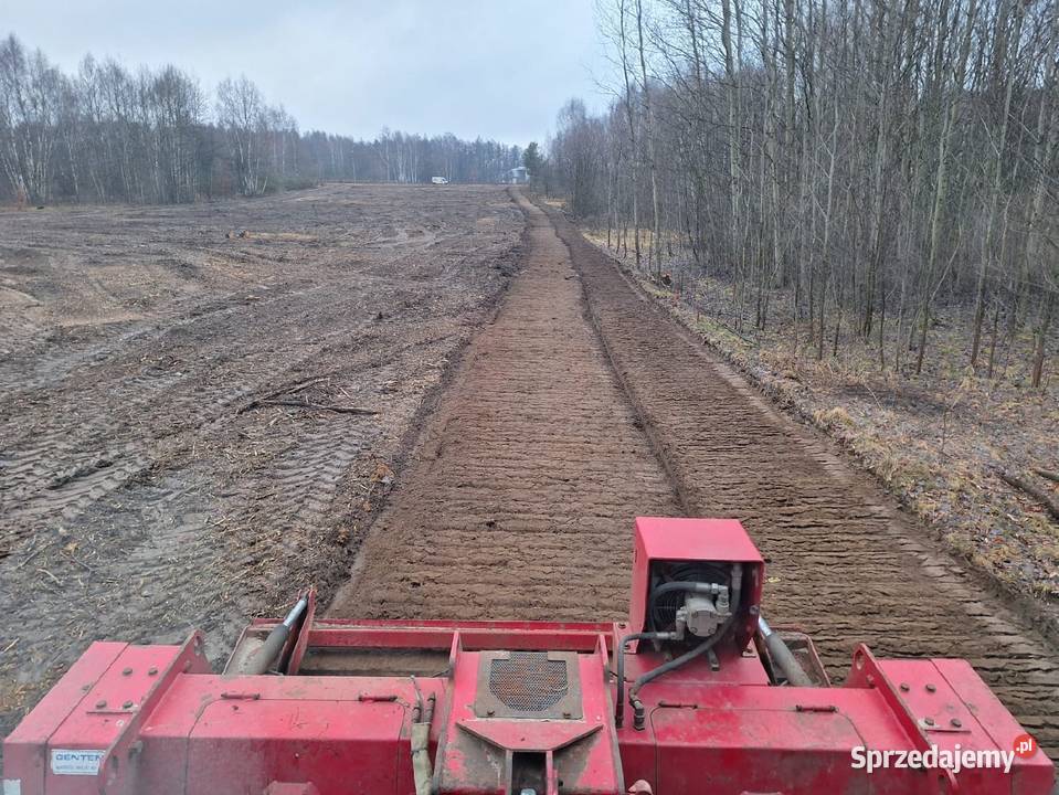 Wycinka drzew Czyszczenie działek Mulczowanie śląskie Dąbrowa Górnicza