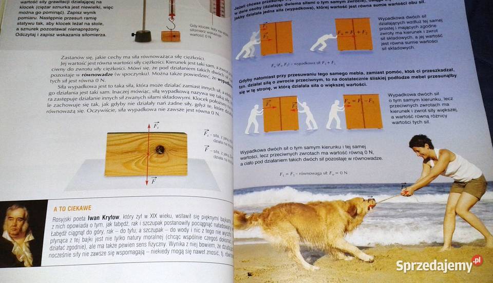 Spotkania z fizyką 1 T Kulawik G Ornat M Rok wydania 2012 sprzedam
