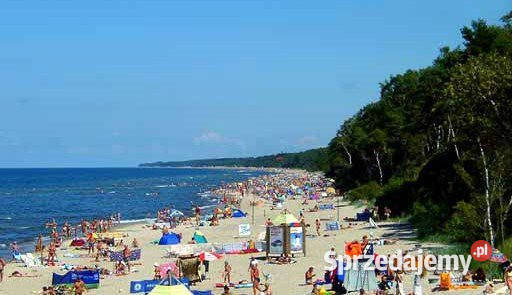sprzedaży działki Łukęcin 2000m2 Sprzedaż sprzedam