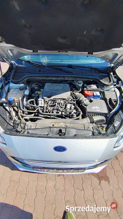 Ford Focus Trend Hatchback MK4 Focus Chmielew