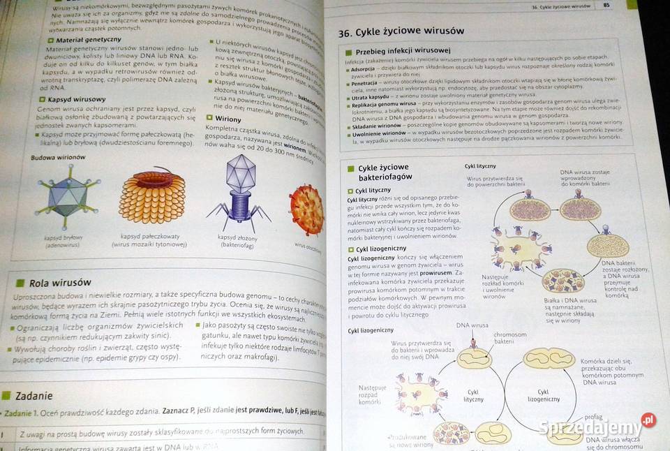 Biologia Repetytorium matura Zakres rozszerzony Chełm