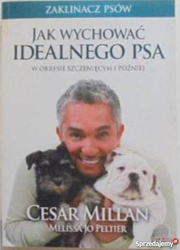 WYCHOWAĆ IDEALNEGO PSA MILLAN CESAR Bielsko-Biała sprzedam
