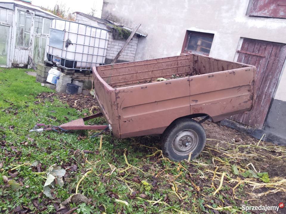 unikatowa przyczepka Tarpan Lubasz