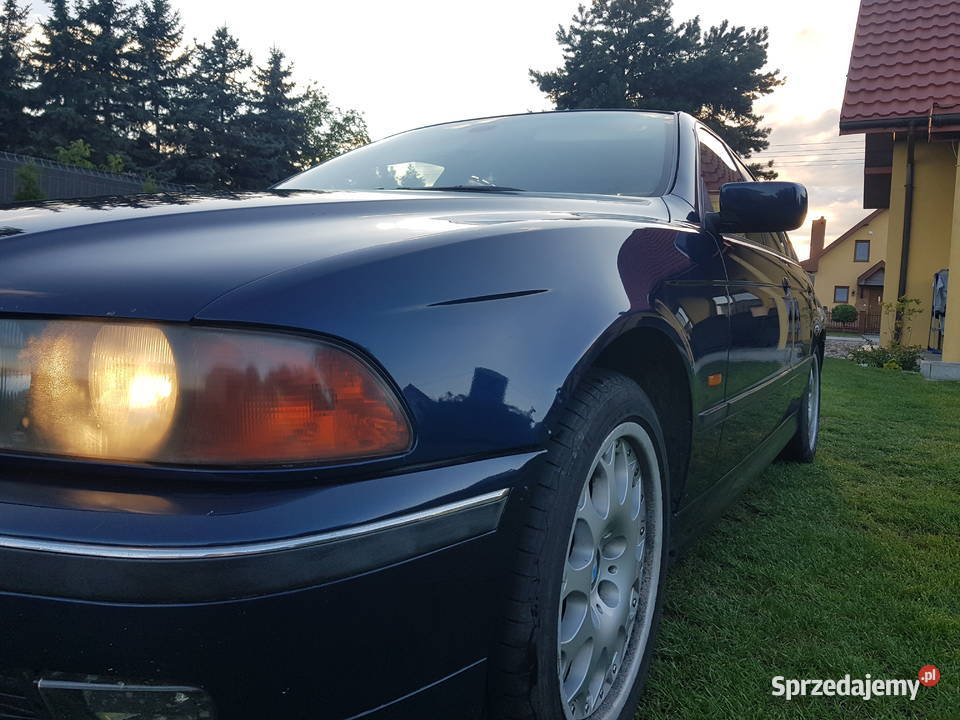 BMW E39 Lmuzyna Byczyna
