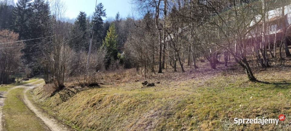 DOMEK W LESIE blacha Sprzedaż Sprzedaż Targanice